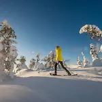 Otso, Kahden Makuuhuoneen Kelomoekki, Lukuisten Polkujen, Polkupyoeraereitin Sekae Kalaisan Tunturilammen Vieressae Chalet