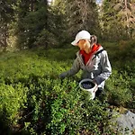 Otso, Kahden Makuuhuoneen Kelomoekki, Lukuisten Polkujen, Polkupyoeraereitin Sekae Kalaisan Tunturilammen Vieressae Syöte