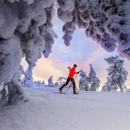 Otso 29, Kahden Makuuhuoneen Moekki Syoetteellae Valaistun Ladun Vieressae *