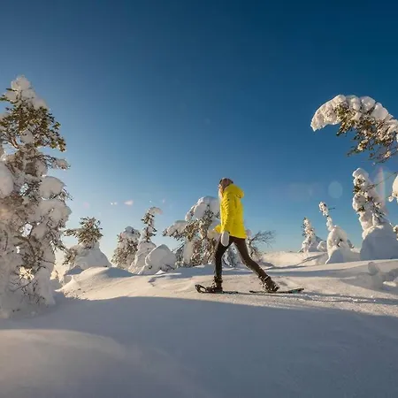 Otso, Kahden Makuuhuoneen Kelomoekki, Lukuisten Polkujen, Polkupyoeraereitin Sekae Kalaisan Tunturilammen Vieressae Chalet