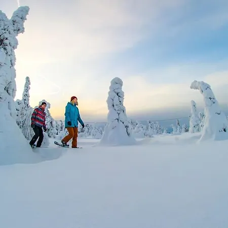 Otso 29, Kahden Makuuhuoneen Moekki Syoetteellae Valaistun Ladun Vieressae Chalet *