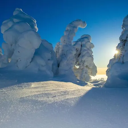 Otso 29, Kahden Makuuhuoneen Moekki Syoetteellae Valaistun Ladun Vieressae Chalet Syöte