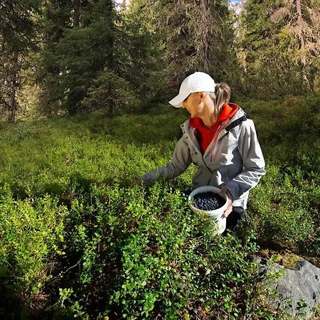 Otso, Kahden Makuuhuoneen Kelomoekki, Lukuisten Polkujen, Polkupyoeraereitin Sekae Kalaisan Tunturilammen Vieressae Syote
