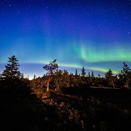 Otso 29, Kahden Makuuhuoneen Moekki Syoetteellae Valaistun Ladun Vieressae * Syöte