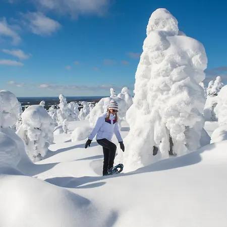 Chalet Otso, Kahden Makuuhuoneen Kelomoekki, Lukuisten Polkujen, Polkupyoeraereitin Sekae Kalaisan Tunturilammen Vieressae *