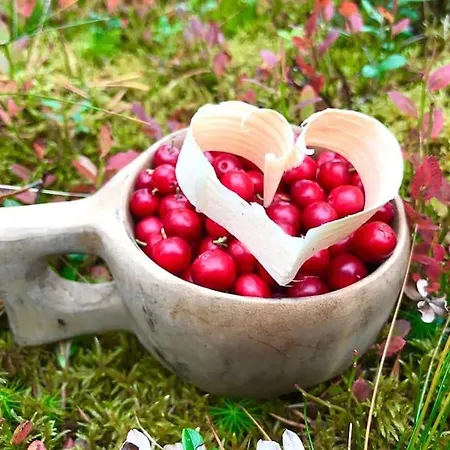 Otso 29, Kahden Makuuhuoneen Moekki Syoetteellae Valaistun Ladun Vieressae Chalet Syöte