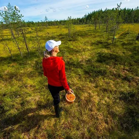 Otso, Kahden Makuuhuoneen Kelomoekki, Lukuisten Polkujen, Polkupyoeraereitin Sekae Kalaisan Tunturilammen Vieressae Chalet *