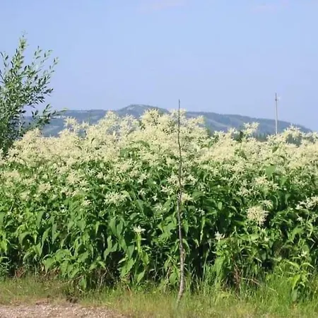 Chalet Otso 29, Kahden Makuuhuoneen Moekki Syoetteellae Valaistun Ladun Vieressae