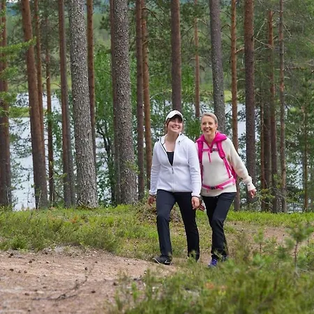 Otso 29, Kahden Makuuhuoneen Moekki Syoetteellae Valaistun Ladun Vieressae Chalet *