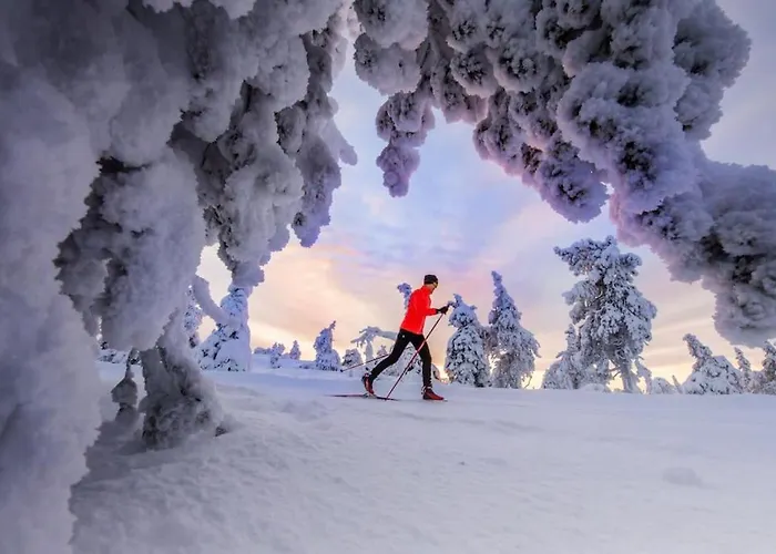 Otso 29, Kahden Makuuhuoneen Moekki Syoetteellae Valaistun Ladun Vieressae *