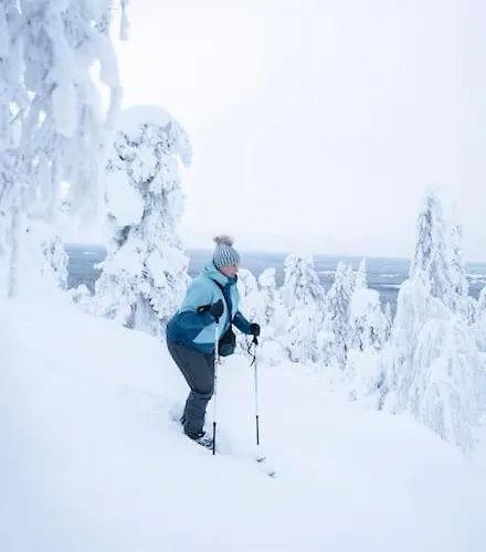 Otso 29, Kahden Makuuhuoneen Moekki Syoetteellae Valaistun Ladun Vieressae Syöte