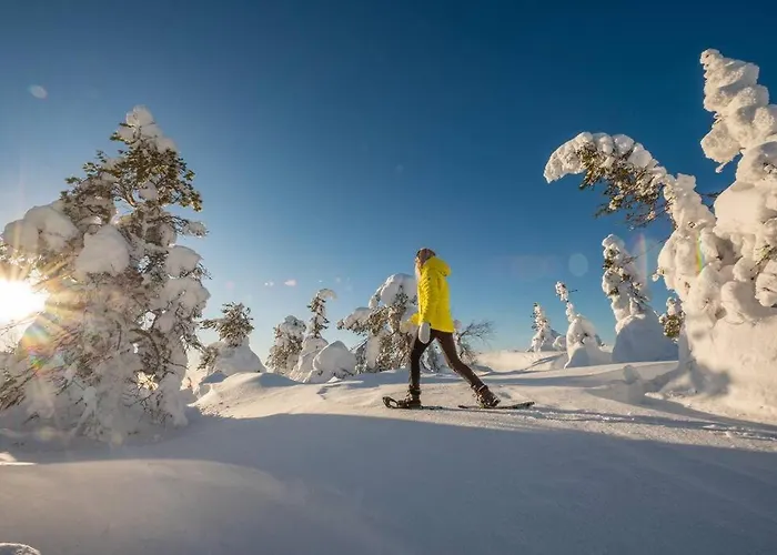 Otso 29, Kahden Makuuhuoneen Moekki Syoetteellae Valaistun Ladun Vieressae Alpstuga