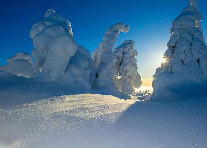 Otso 29, Kahden Makuuhuoneen Moekki Syoetteellae Valaistun Ladun Vieressae Alpstuga Syöte