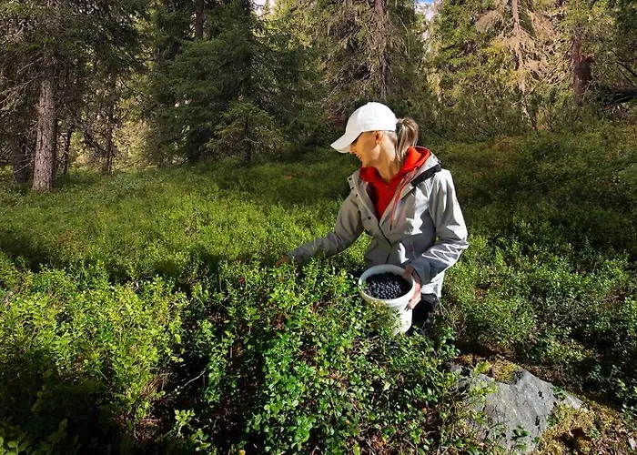 Otso 29, Kahden Makuuhuoneen Moekki Syoetteellae Valaistun Ladun Vieressae Syöte