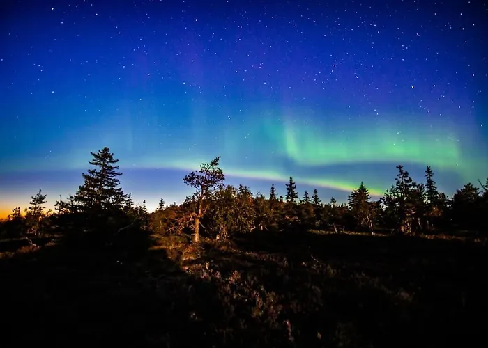 Otso 29, Kahden Makuuhuoneen Moekki Syoetteellae Valaistun Ladun Vieressae * Syöte
