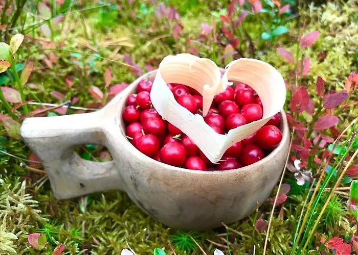 Otso 29, Kahden Makuuhuoneen Moekki Syoetteellae Valaistun Ladun Vieressae Alpstuga Syöte