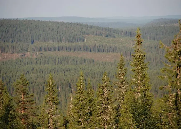 Otso 29, Kahden Makuuhuoneen Moekki Syoetteellae Valaistun Ladun Vieressae Alpstuga