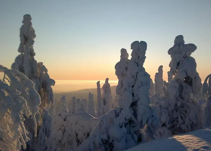 Alpstuga Otso 29, Kahden Makuuhuoneen Moekki Syoetteellae Valaistun Ladun Vieressae