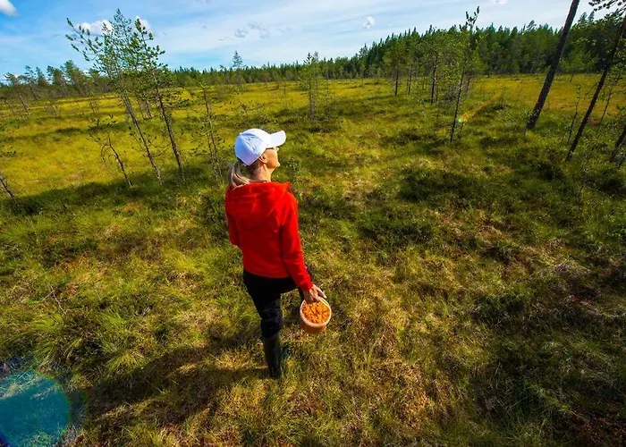 Otso 29, Kahden Makuuhuoneen Moekki Syoetteellae Valaistun Ladun Vieressae Alpstuga *