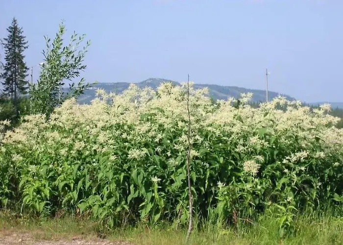 Alpstuga Otso 29, Kahden Makuuhuoneen Moekki Syoetteellae Valaistun Ladun Vieressae